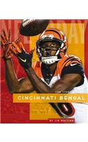 Cincinnati Bengals