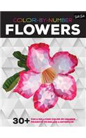 Color-By-Number: Flowers: 30+ Fun & Relaxing Color-By-Number Projects to Engage & Entertain