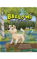 Barlow, Lost in the Everglades