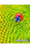 Notebook: Ladybug - Coccinellidae - Composition Book 150 pages 8.5 x 11 in. - 5x5mm Graph Paper - Writing Notebook - Grid Paper - Soft Cover - Drawing