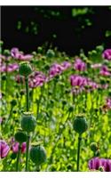 Poppy Flowers Notebook