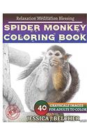 Spider Monkey Coloring Book for Adults Relaxation Meditation Blessing: Sketches Coloring Book 40 Grayscale Images