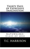 Thirty Days of Expressive Imagination: Napowrimo: Class of 2018