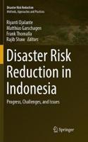 Disaster Risk Reduction in Indonesia