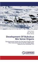 Development Of Bubulcus Ibis Sense Organs