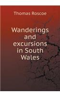 Wanderings and excursions in South Wales