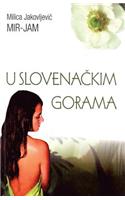 U Slovenackim Gorama