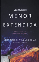 Armonía menor extendida