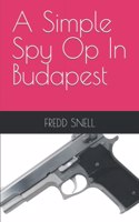 A Simple Spy Op In Budapest