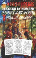 Christmas Color By Number Coloring Book For Adults: Easy Large Print Winter Christmas Scenes For Adults, Seniors and Children ( Christmas Decorations, Coloring Book For Adults )