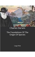 The Foundations Of The Origin Of Species: Large Print