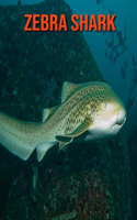 Zebra Shark