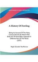 History Of Fowling