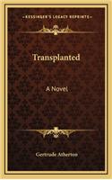 Transplanted