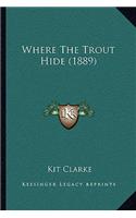 Where The Trout Hide (1889)