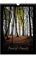 Forest Moods 2017: Atmosphere in a Forest Can Change Quickly and Dramatically Simply by the Play of Light Entering the Canopy.A Forest Mood Can Alter Constantly,Almost(Calvendo Nature)