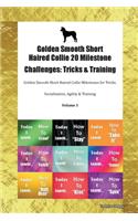 Golden Smooth Short Haired Collie 20 Milestone Challenges: Tricks & Training Golden Smooth Short Haired Collie Milestones for Tricks, Socialization, Agility & Training Volume 1
