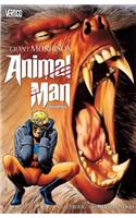 Animal Man Omnibus HC