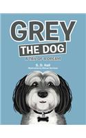 Grey the Dog