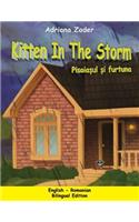 Kitten in the Storm - Pisoiasul si furtuna
