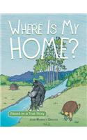 Where Is My Home?