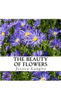 Beauty of Flowers