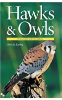 Hawks & Owls of Eastern North America