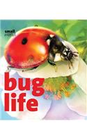 Bug Life