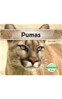 Pumas (Pumas) (Spanish Version)