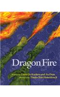 Dragon Fire: A Story About Family and Cancer