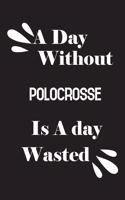 day without polocrosse is a day wasted