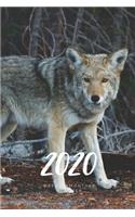 2020 Weekly & Monthly Planner