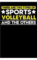 There are two types of sports Volleyball and the others: 100 page 6 x 9 Daily journal to jot down your ideas and notes