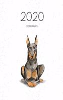 2020 Doberman: Dated Weekly Planner With To Do Notes & Dog Quotes - Doberman(27 Awesome Calendar Planners for Dog Owners)