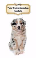 2020 Pastor Ovejero Australiano Calendario: 107 Páginas Tamaño A5 Planificador Semanal 12 Meses 1 Semana en 2 Páginas Agenda Semana Vista Tapa Blanda Perro