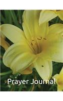 Prayer Journal: James 5:13 Is anyone among you in trouble? Let them pray. Is anyone happy? Let them sing songs of praise