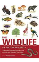 The Wildlife of Southern Africa: The Larger Illustrated Guide to the Animals and Plants of the Region
