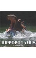 Hippopotamus Calendar 2019