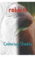 Rabbit Coloring Sheets