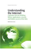 Understanding the Internet