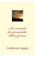 Ao encontro da prometida alma gemea