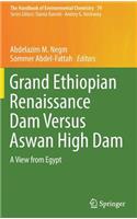 Grand Ethiopian Renaissance Dam Versus Aswan High Dam: A View from Egypt