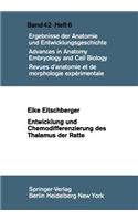 Entwicklung Und Chemodifferenzierung Des Thalamus Der Ratte