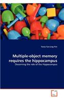 Multiple-object memory requires the hippocampus