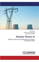 Nuclear Power in