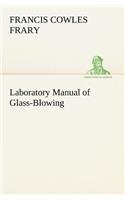 Laboratory Manual of Glass-Blowing