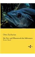 Die Tier- und Pflanzenwelt des Süßwassers