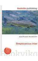 Streptococcus Iniae
