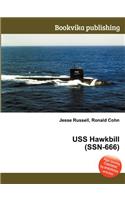 USS Hawkbill (Ssn-666)