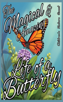 Magical and Amazing Life of a Butterfly